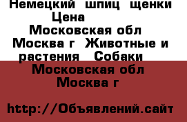 Немецкий  шпиц ,щенки › Цена ­ 15 000 - Московская обл., Москва г. Животные и растения » Собаки   . Московская обл.,Москва г.